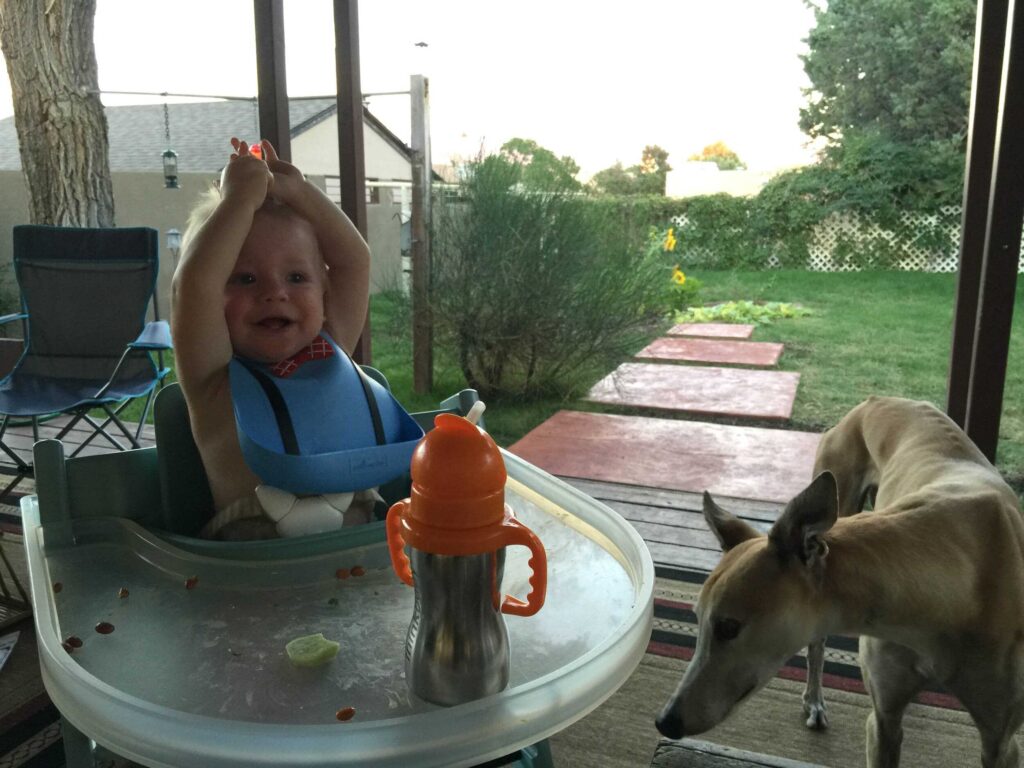 Toddler in high chair with sippy cup