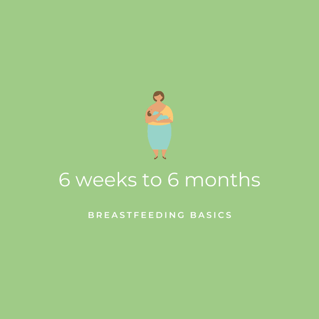 6 Weeks to 6 Months Post in Breastfeeding Basics