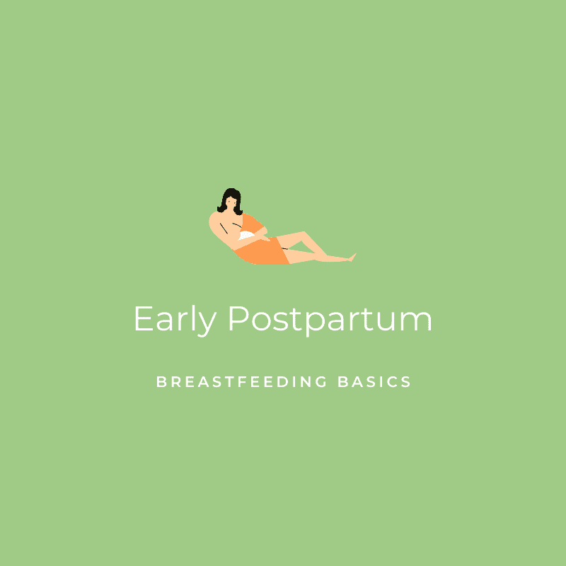 Early Postpartum Post in Breastfeeding Basics