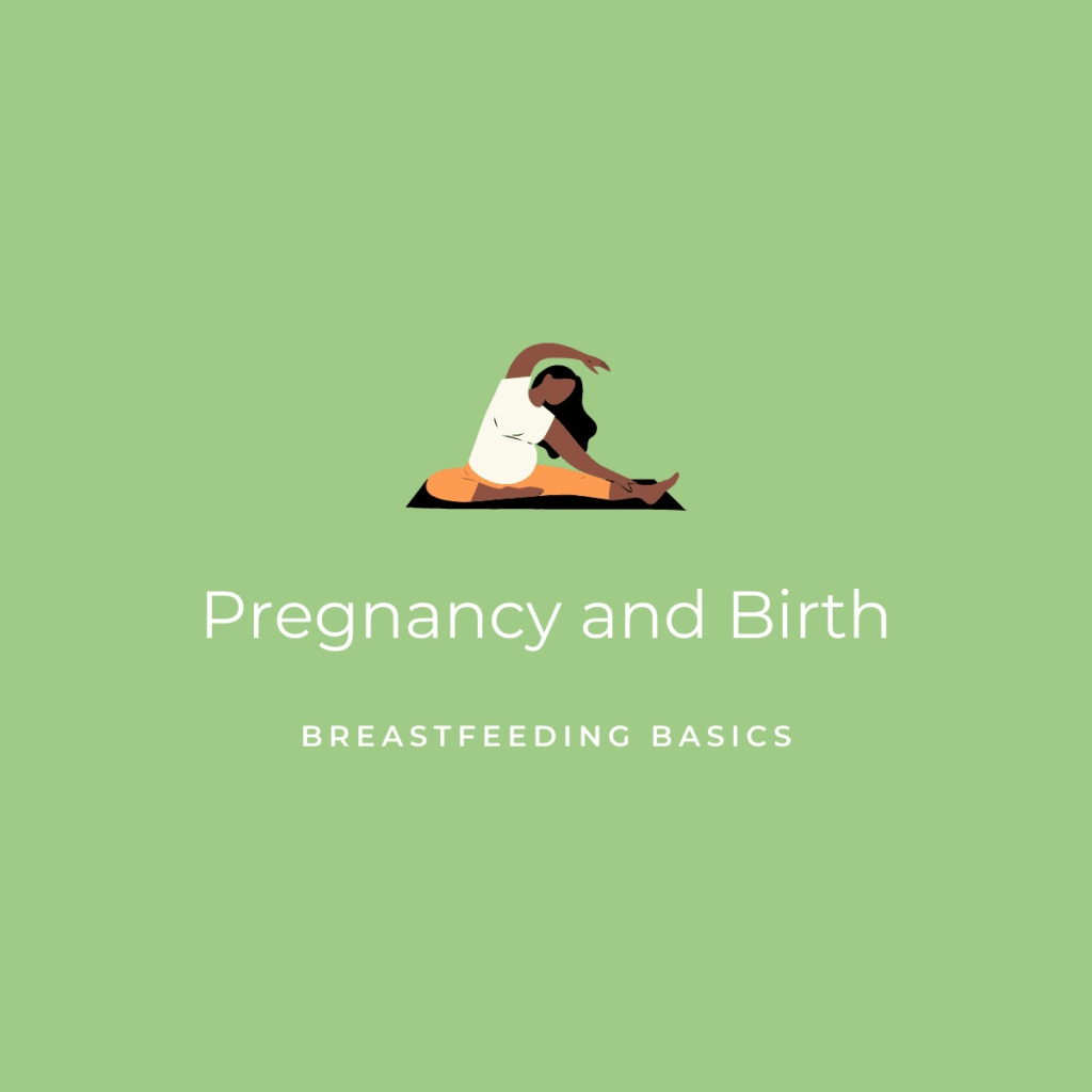 Pregnancy and Birth Post in Breastfeeding Basics