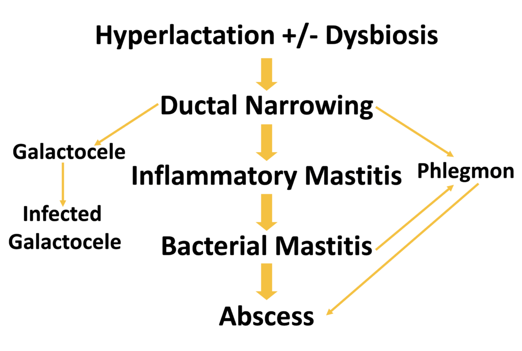 Mastitis spectrum schematic